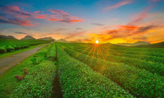 Tour Du Lịch Miền Bắc
